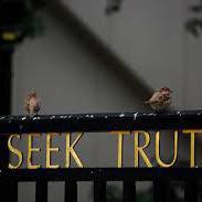 Team Page: Truthseekers